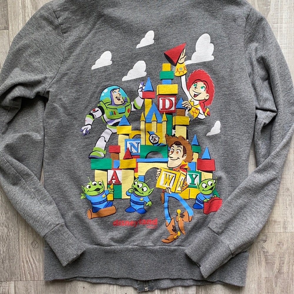 Disney Parks Toy Story Hoodie